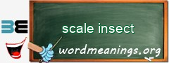 WordMeaning blackboard for scale insect